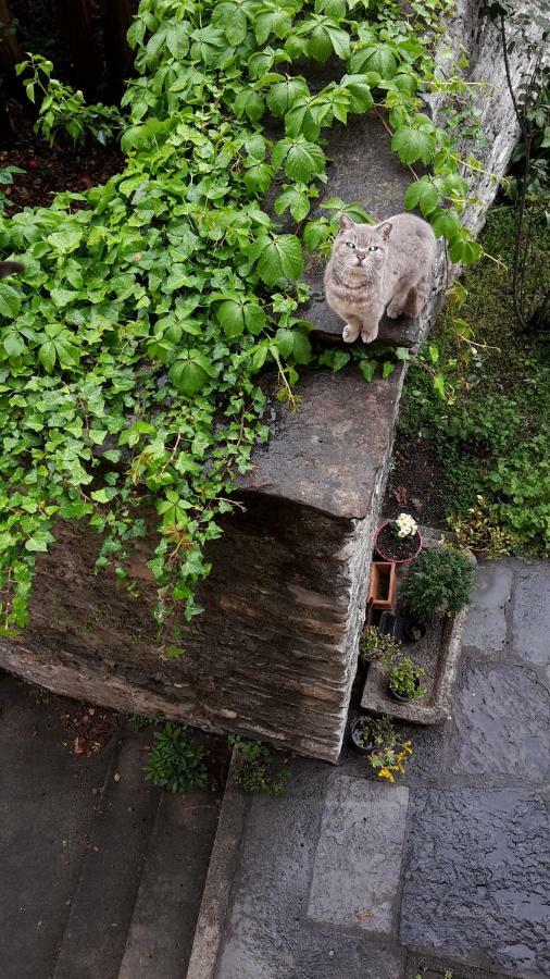 Appartamenti Raineri Domaso Exterior foto